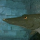 Image for article titled The Scariest Non-Scary Movies Of All Time